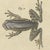 Bertuch, Five Tree Frogs, 1815, Print For Sale - Image 6 of 12