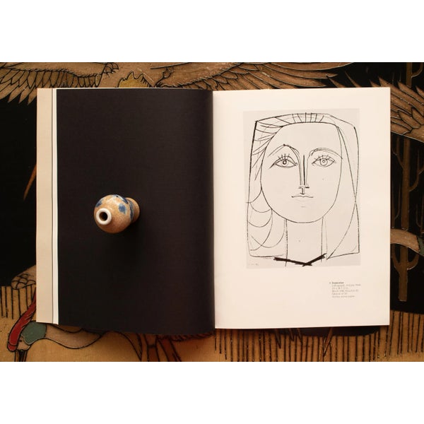 picasso-graphics-from-the-