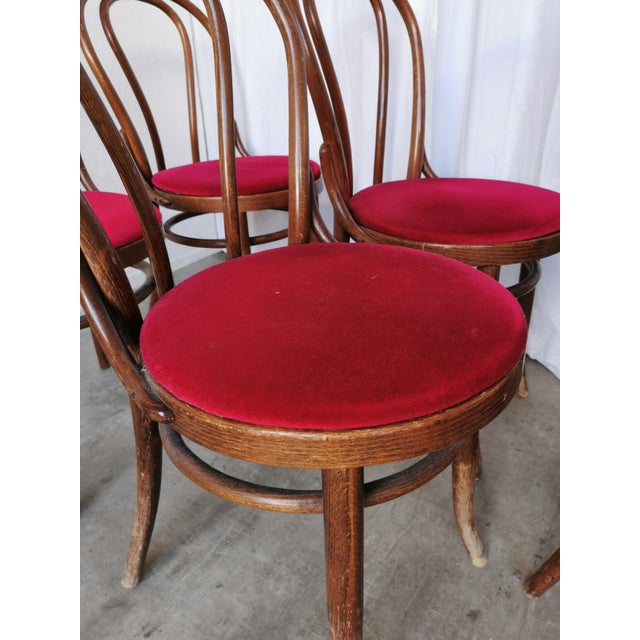 Vintage Bentwood Bistro Chairs, 1970s, Set of 8 For Sale - Image 11 of 18