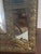 19th Century Mirror with Repoussé Brass Glazing Bars, 1890s For Sale - Image 5 of 18