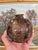 1970s Studio Pottery Vase by Nelson With Incised Geometric Motifs and Earthy Glaze. For Sale - Image 5 of 9