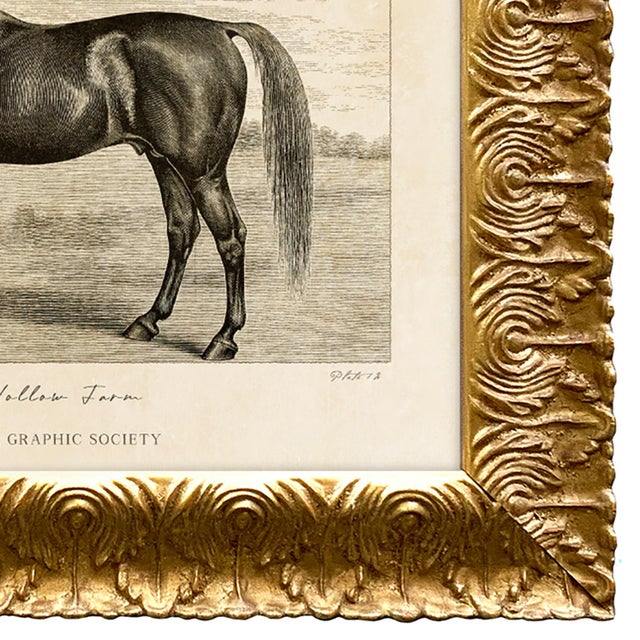 2020s Reproduction Art Print of Vintage Horse (1) in Ornate Gold Frame For Sale - Image 5 of 5