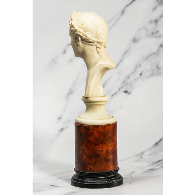 Vintage Roman Julius Caesar Man Bust Statue Classical Grand Tour Style Sculpture Home Decor For Sale In New York - Image 6 of 14