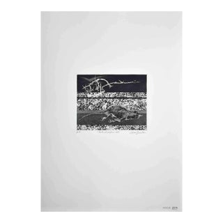 Leo Guida, Rat on the Border, Original Etching, 1971 For Sale