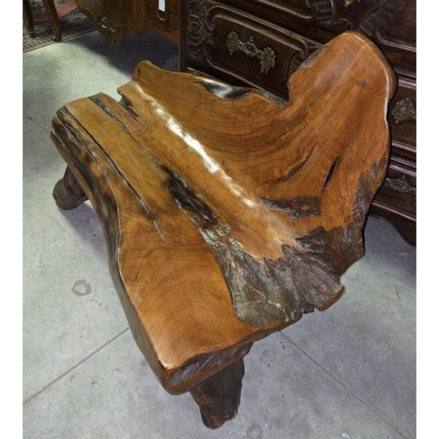 20th Century Bench in Olive Wood and Driftwood, Asia, 1920s For Sale - Image 4 of 9