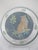Lynn Chase Sitting Left Jaguar Jungle Cat Glass 8 1/4" Salad Plate Set of 2 For Sale - Image 11 of 12