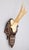 Black Forest Black Forest Roe Deer Antlers Hunting Trophy 1928 Mount For Sale - Image 4 of 7
