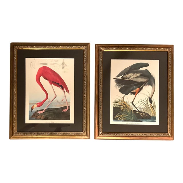 1960s Pair. Of Original Prints John James Audubon the American Flamingo and the Great Blue Heron Double Giltwood Rope Framed Linen Matte. For Sale