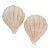 Modern Murano Glass Shell Form Sconces - a Pair For Sale