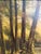 Forest Green Antique European Original Oil Painting on Canvas, Summer Forest Landscape Framed For Sale - Image 8 of 9