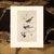 1966 Vintage Cottage Print "Snow Bird & Slate-Colored Junco" After John James Audubon For Sale In Dallas - Image 6 of 7