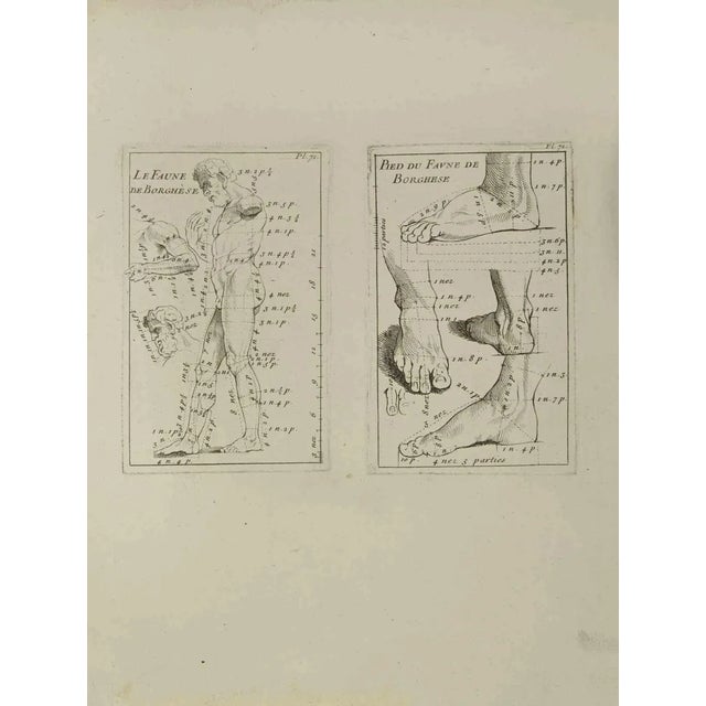 Jean François Poletnich, Anatomy Studies, Etching, 18th Century For Sale