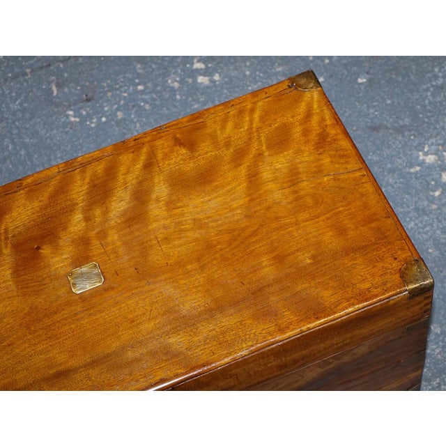 Antique English Camphor Wood Storage Trunk, 19th Century For Sale - Image 10 of 18