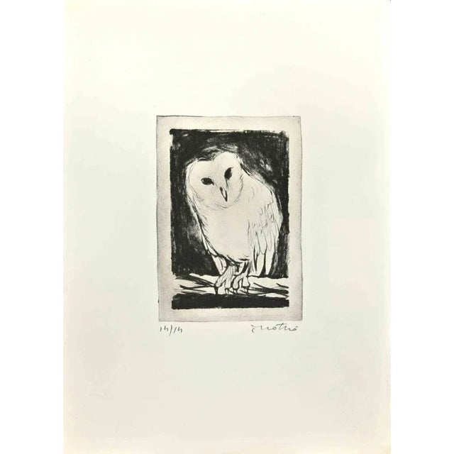 Owl is an Etching realized by Enotrio Pugliese in 1963. Limited edition of 14 copies numbered and signed by the artist....