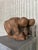 Ceramic Terracotta Figurative Sculpture, 1969 For Sale - Image 7 of 8