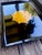 Vintage Couroc of Monterey serving tray featuring a radiant stylized sun face motif rendered in warm golden and amber-...