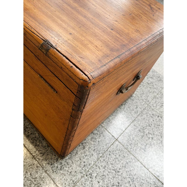 Antique Brass-Trimmed Camphor Wood Chest For Sale - Image 10 of 12
