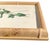 Antique Botanical Chromolithographs — “Wild Flowers of America”, Volume I, L. Prang & Co., Boston (C. 1877) Set of 13 For Sale - Image 16 of 17