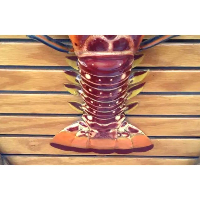 Large Taxidermy Lobster Mounted on Hexagon Shaped Wood and Rope Frame ...