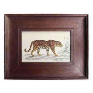 After Cpt. Brown, Jaguar, 1847, Lithograph, Framed For Sale