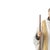Sacred Art - Saint Francis Xavier - 19th Century. Portuguese sculpture from the 19th century; in polychrome and gilded...