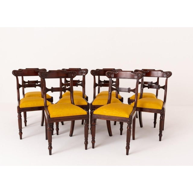 Wood Revival William IV Dining Chairs Set 10 in Mahogany, 1920s, Set of 10 For Sale - Image 7 of 10
