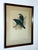 Original 19th Century John Gould & h.c. Richter Hand-Colored Lithograph – Amydrus Tristrami For Sale - Image 9 of 13