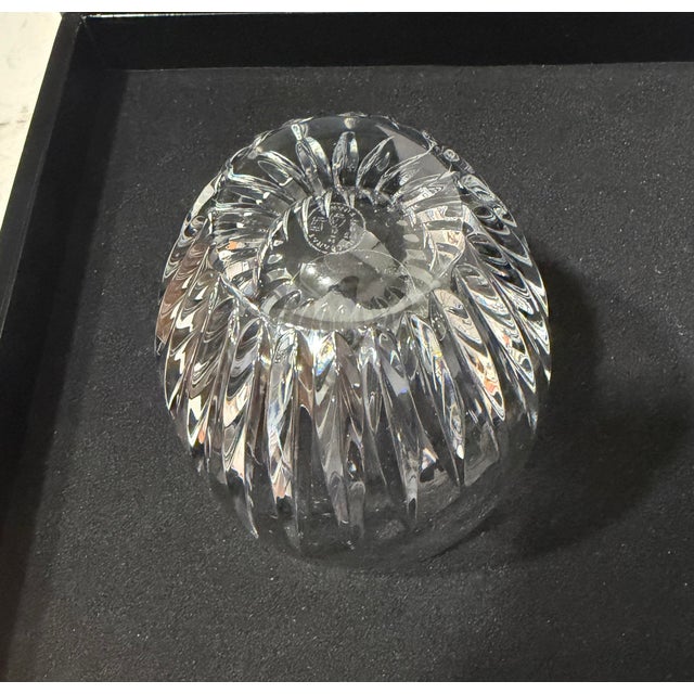 Baccarat French Crystal Massena Tumblers - Pair For Sale In Los Angeles - Image 6 of 6