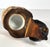 Black Forest Dachshund Birch Tree Inkwell For Sale - Image 10 of 16