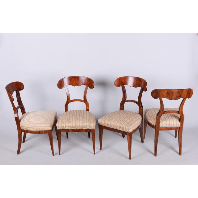 Biedermeier Chairs in Walnut, Czech, 1830s, Set of 4 For Sale - Image 13 of 13