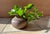 Ceramic Brutalist Studio Ceramic Art Vase with Textured Rough Glaze, Germany, 1960s For Sale - Image 7 of 12