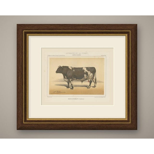 This is an original antique chromolithograph, printed in color from several lithographic stones, from victor borie's...
