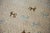 New Indian Folk Art Design Rug - 6' X 9' For Sale - Image 4 of 14