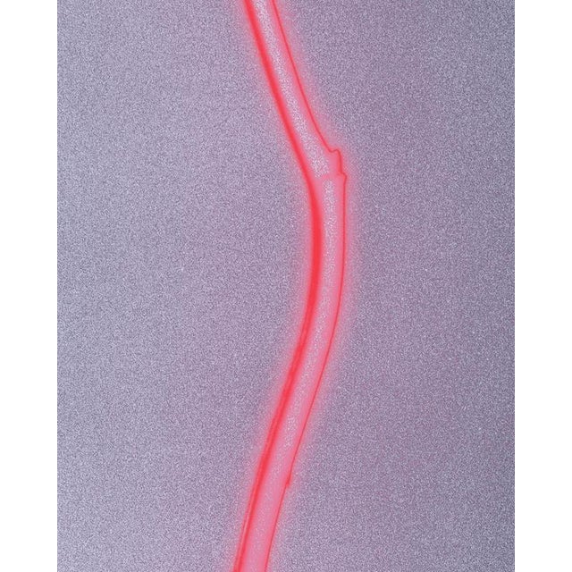 Early 21st Century Rose Glow - Still Life Analogue Photography, Limited Edition of 5 2023 For Sale - Image 5 of 6