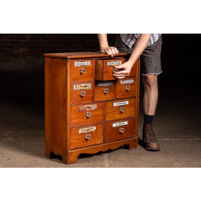 Countertop apothecary cabinet constructed in stained wood with ten graduated drawers retaining period glass drawer pulls...