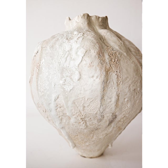 Orbicella Moon Vase For Sale - Image 4 of 7