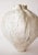 Orbicella Moon Vase For Sale - Image 4 of 7