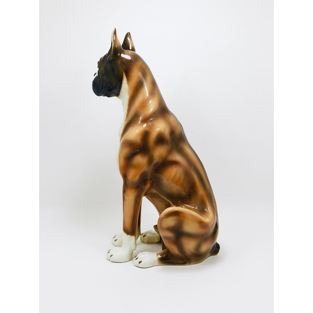 Boxer Dog Life-Size Majolica Statue Sculpture in Glazed Ceramic, Italy, 1970s For Sale - Image 13 of 18