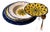 Stratificata 4-Piece Hand-Painted Italian Place Setting For Sale