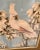 1940s Mid-Century Turner Wall Art Cockatoos For Sale - Image 5 of 6