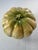 Lidded Pumpkin Squash Dish For Sale - Image 4 of 10