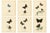 William Home Lizars, Cabinet-Size Butterfly Jewel-Tone Species, 1835, Engravings, Set of 6 For Sale - Image 9 of 9