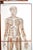 Human Foldable Anatomical Wall Charts, 1920s, Set of 2 For Sale - Image 6 of 11