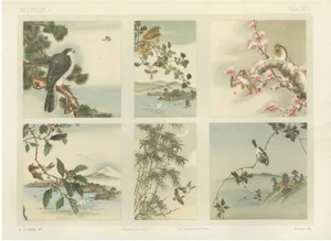 Six Panels of Natures Harmony, 1882, Paper