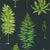 Sanderson Fernery Wallpaper in Botanical Green/Charcoal - a Sample For Sale