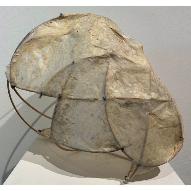 Macus Alonso original Japanese Kozo paper and reed aerial or wall sculpture from Cuerpos Series. Made during her MFA...