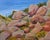 Rocky Forms by Charis Carmichael Braun | Oil on panel depiction of large rocks and greenery. For Sale