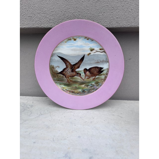 Rare French Porcelain Set of 8 Wild Animals Plates Haviland Limoges Circa 1890 For Sale - Image 11 of 12