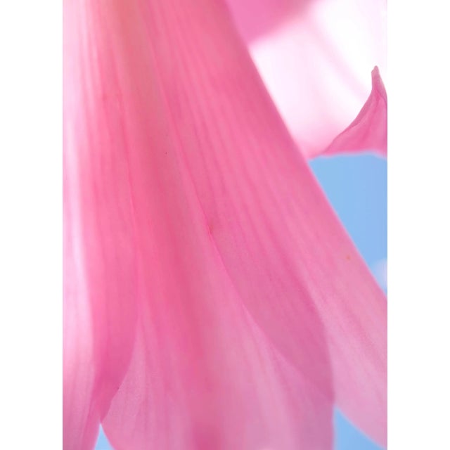 Early 21st Century Gaétan Caron "Naked Lady", Mendocino, California, Color Photograph, 2014 2014 For Sale - Image 5 of 5