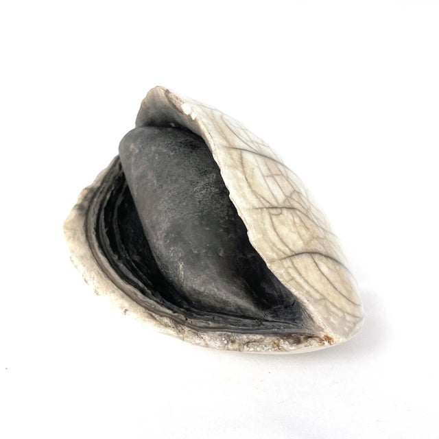 Antique White Vintage French Ceramic Clam Sculpture For Sale - Image 8 of 12